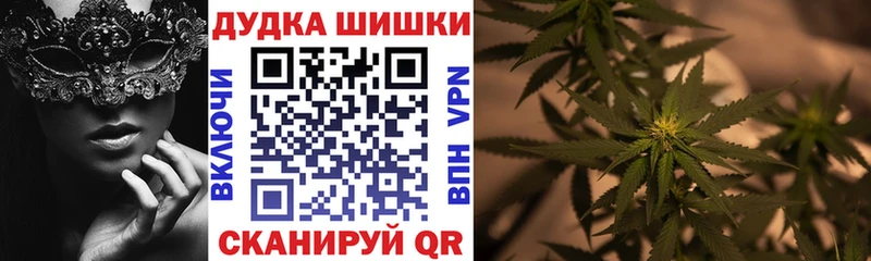 где продают наркотики  Железногорск  Бошки Шишки план 